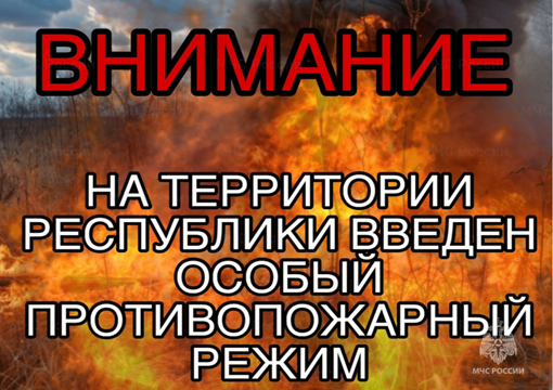 Согласно Постановления Правительства Республики Мордовия от 31.03.2025 № 356 на территории республики с 1 апреля 2025 года введен особый противопожарный режим..